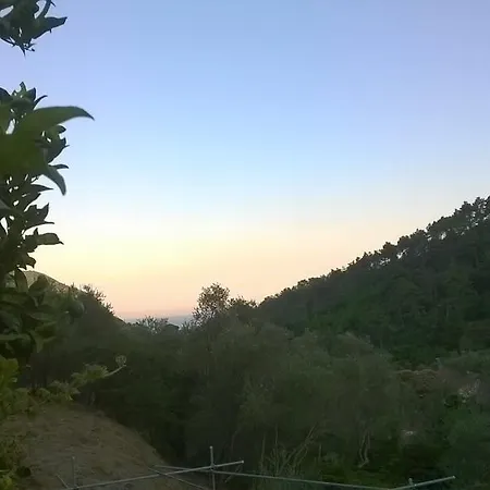 Allaluloja *