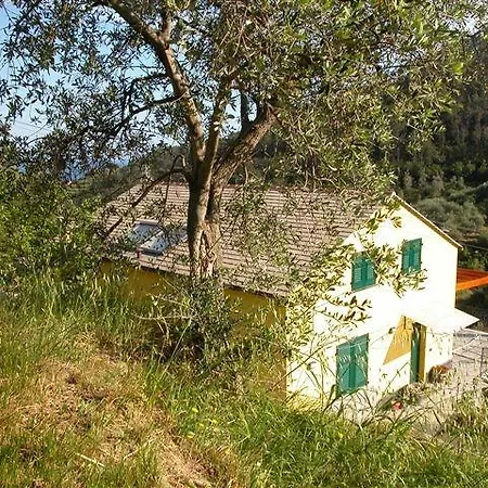 Allaluloja Apartman