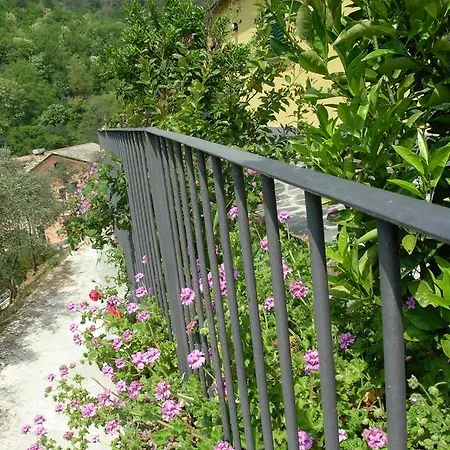 Allaluloja Moneglia