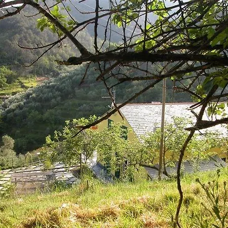 Allaluloja *