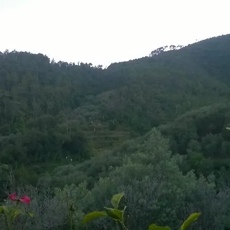 Apartment Allaluloja Moneglia